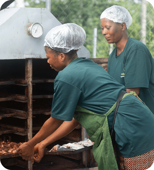 Akinlalu Farm – Osun State - Image 3