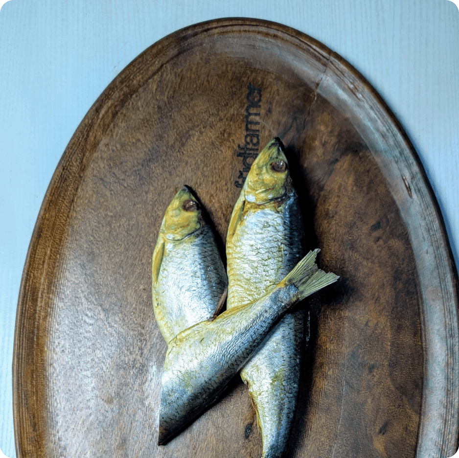 Fresh fish on wooden plate