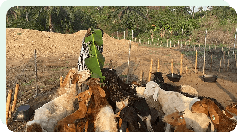 Heart of Osun State