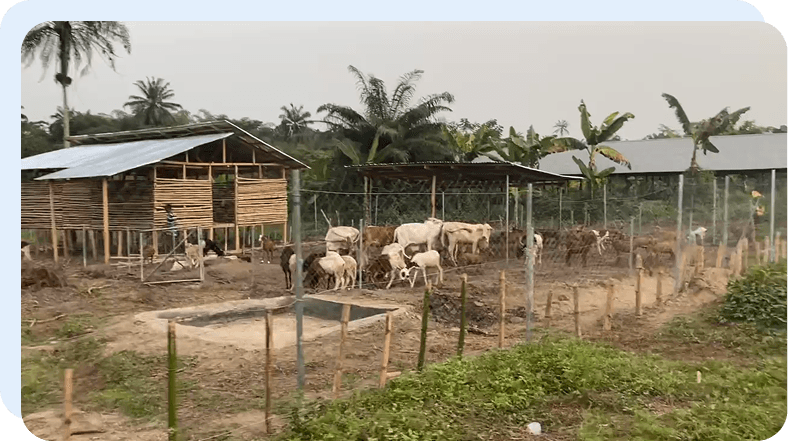 Transforming Lives