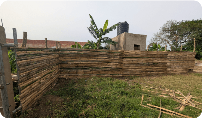 Bamboo Fencing for Ranch and Grazing Area