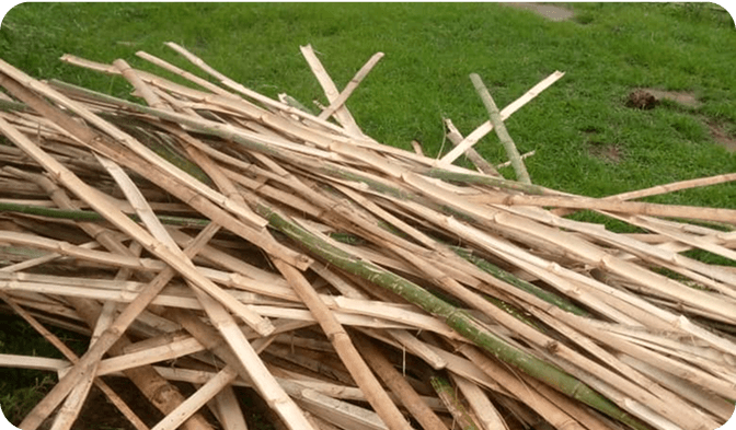 Bamboo Sawts (splitted Bamboo)